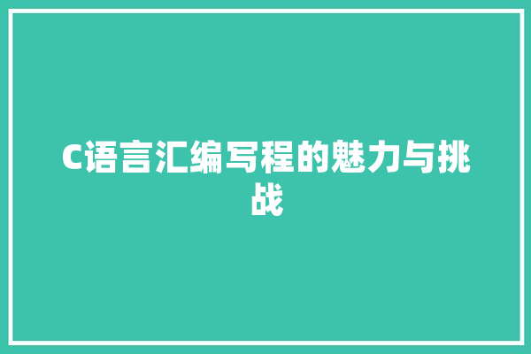 C语言汇编写程的魅力与挑战 计算机