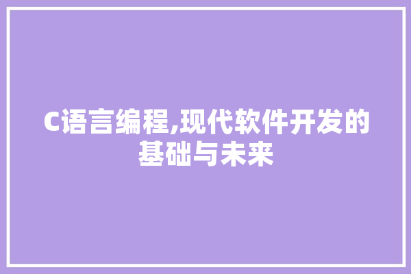 C语言编程,现代软件开发的基础与未来