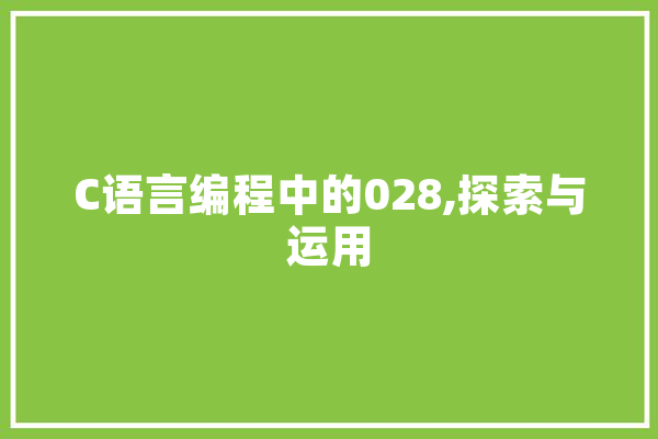 C语言编程中的028,探索与运用