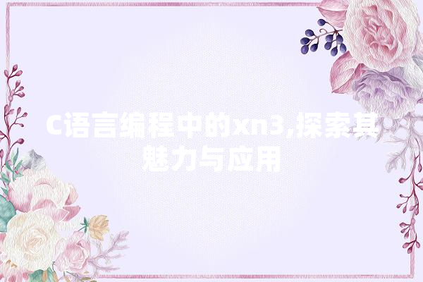 C语言编程中的xn3,探索其魅力与应用