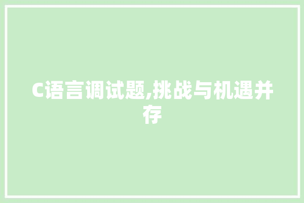 C语言调试题,挑战与机遇并存