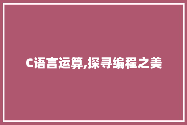 C语言运算,探寻编程之美
