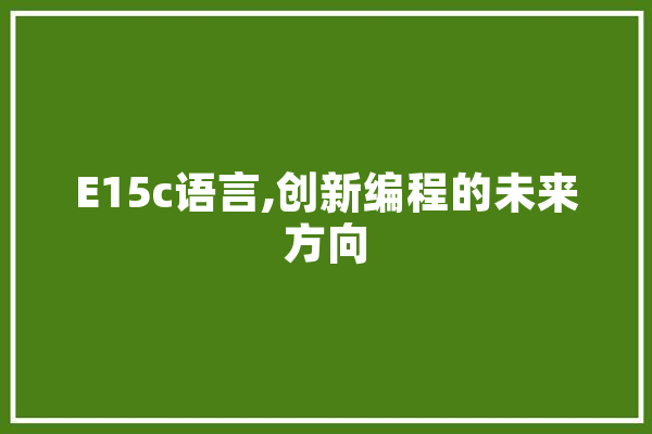 E15c语言,创新编程的未来方向 科技快讯