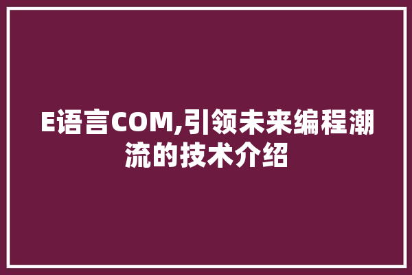 E语言COM,引领未来编程潮流的技术介绍 AI快讯