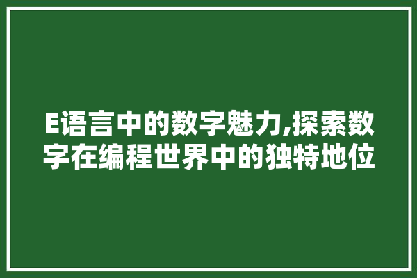 E语言中的数字魅力,探索数字在编程世界中的独特地位 智能助手
