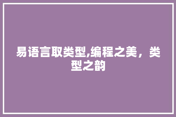 易语言取类型,编程之美，类型之韵