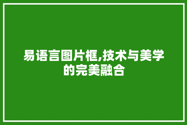 易语言图片框,技术与美学的完美融合