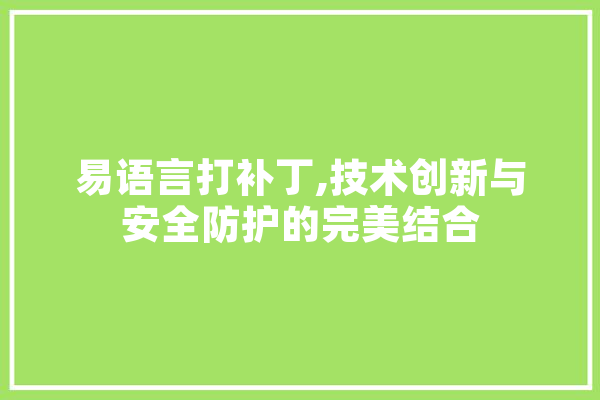 易语言打补丁,技术创新与安全防护的完美结合