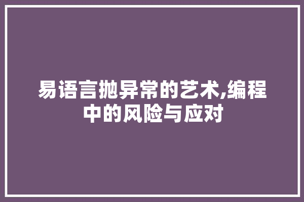 易语言抛异常的艺术,编程中的风险与应对