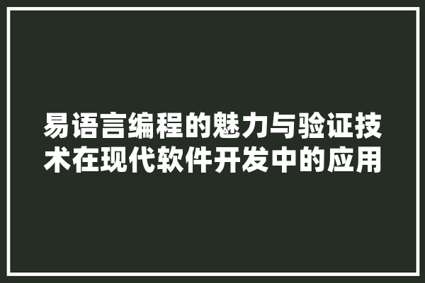 易语言编程的魅力与验证技术在现代软件开发中的应用