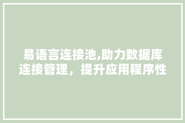 易语言连接池,助力数据库连接管理，提升应用程序性能