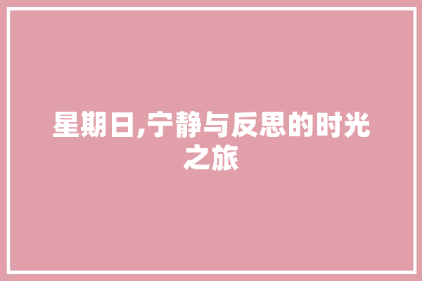 星期日,宁静与反思的时光之旅