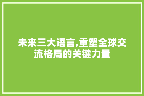 未来三大语言,重塑全球交流格局的关键力量