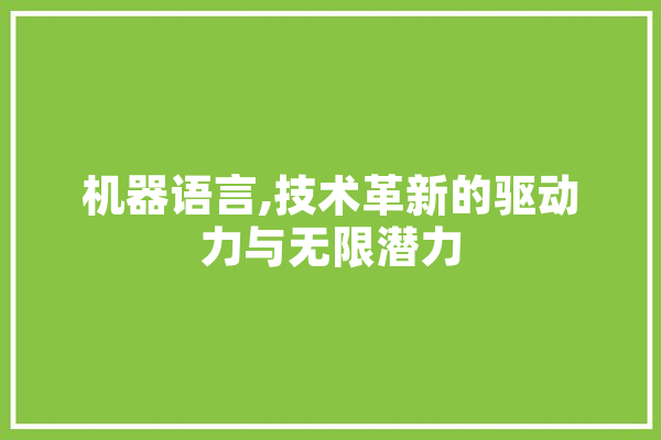 机器语言,技术革新的驱动力与无限潜力