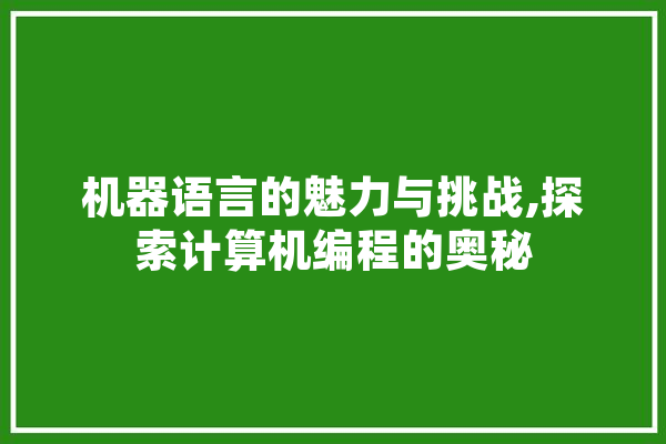 机器语言的魅力与挑战,探索计算机编程的奥秘