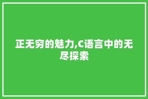 正无穷的魅力,C语言中的无尽探索