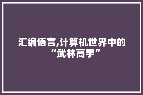 汇编语言,计算机世界中的“武林高手”