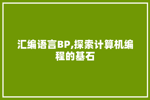 汇编语言BP,探索计算机编程的基石 AI简讯