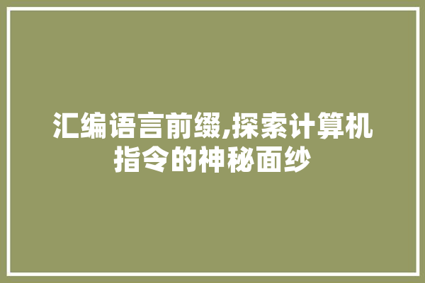 汇编语言前缀,探索计算机指令的神秘面纱