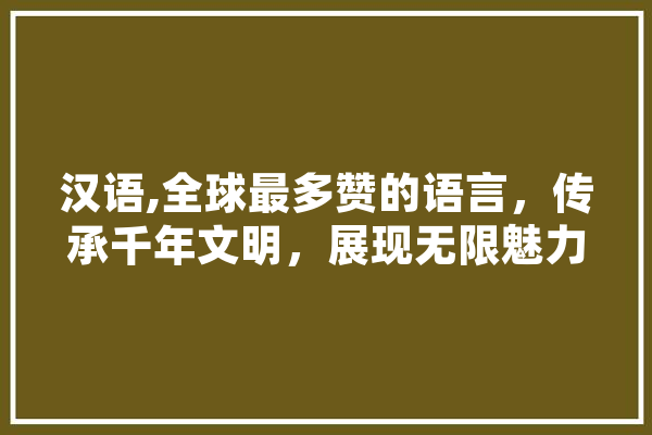 汉语,全球最多赞的语言，传承千年文明，展现无限魅力 智能写作