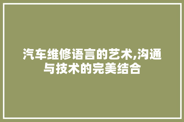 汽车维修语言的艺术,沟通与技术的完美结合