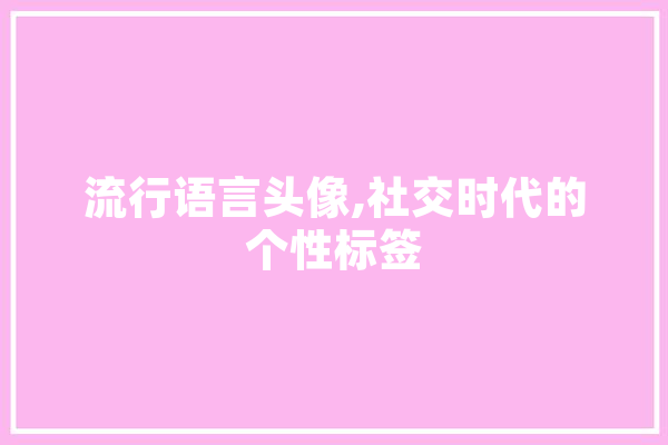 流行语言头像,社交时代的个性标签