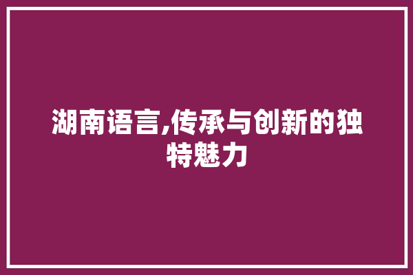 湖南语言,传承与创新的独特魅力