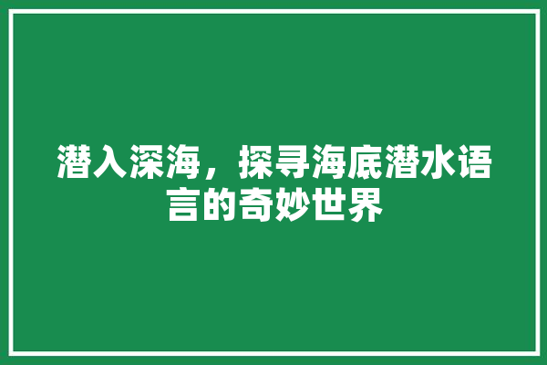 潜入深海，探寻海底潜水语言的奇妙世界