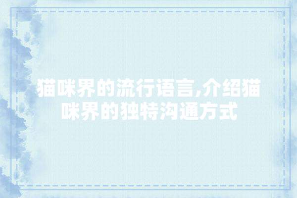 猫咪界的流行语言,介绍猫咪界的独特沟通方式