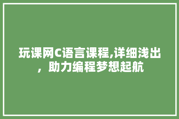 玩课网C语言课程,详细浅出，助力编程梦想起航