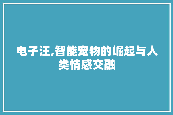 电子汪,智能宠物的崛起与人类情感交融