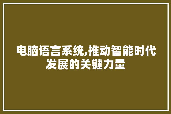 电脑语言系统,推动智能时代发展的关键力量