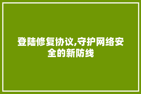 登陆修复协议,守护网络安全的新防线
