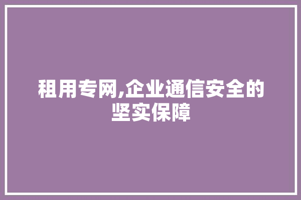 租用专网,企业通信安全的坚实保障 AI快讯