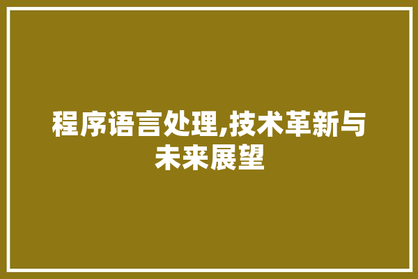 程序语言处理,技术革新与未来展望
