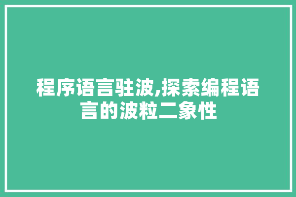程序语言驻波,探索编程语言的波粒二象性
