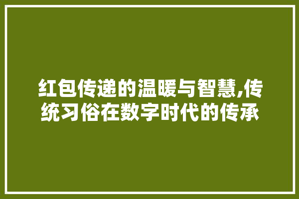 红包传递的温暖与智慧,传统习俗在数字时代的传承