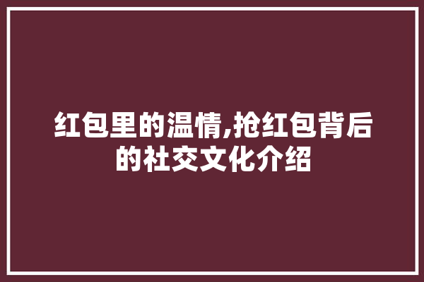 红包里的温情,抢红包背后的社交文化介绍 云服务