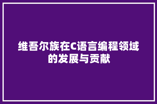 维吾尔族在C语言编程领域的发展与贡献