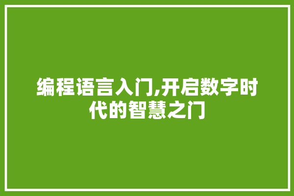 编程语言入门,开启数字时代的智慧之门 绘影字幕