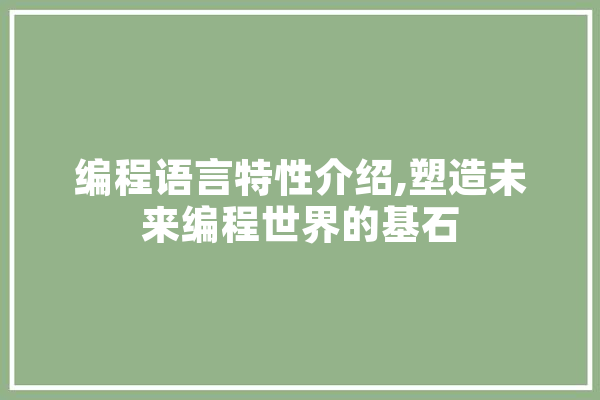 编程语言特性介绍,塑造未来编程世界的基石 计算机