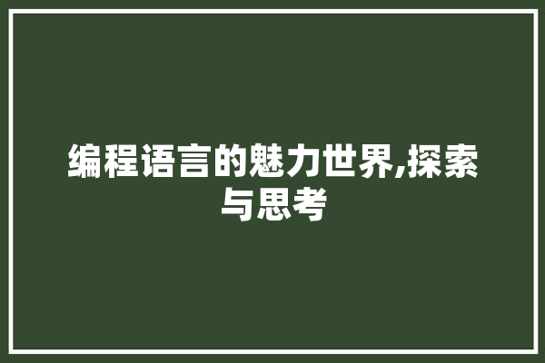 编程语言的魅力世界,探索与思考