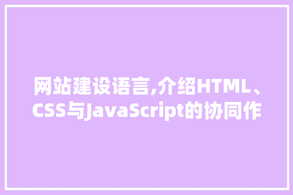 网站建设语言,介绍HTML、CSS与JavaScript的协同作用