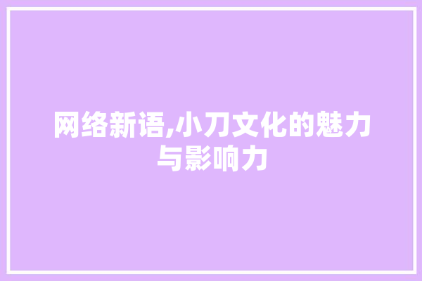 网络新语,小刀文化的魅力与影响力 绘影字幕