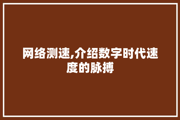 网络测速,介绍数字时代速度的脉搏 智能问答