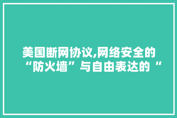 美国断网协议,网络安全的“防火墙”与自由表达的“试金石”