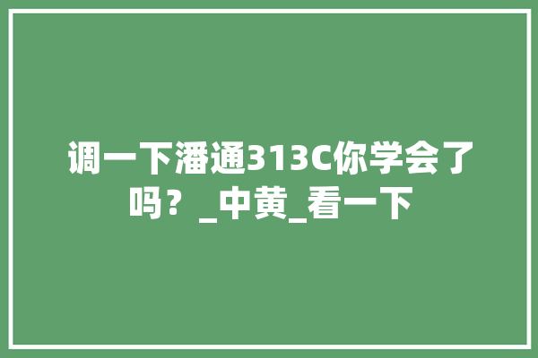 调一下潘通313C你学会了吗？_中黄_看一下 智能写作