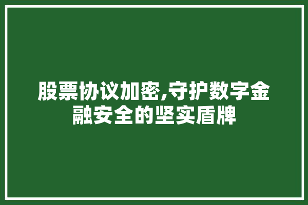 股票协议加密,守护数字金融安全的坚实盾牌