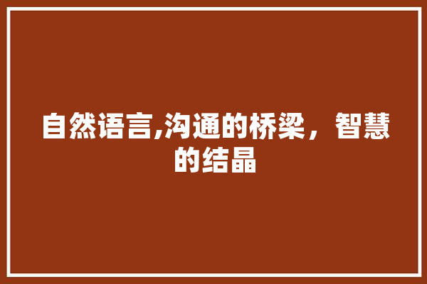 自然语言,沟通的桥梁，智慧的结晶