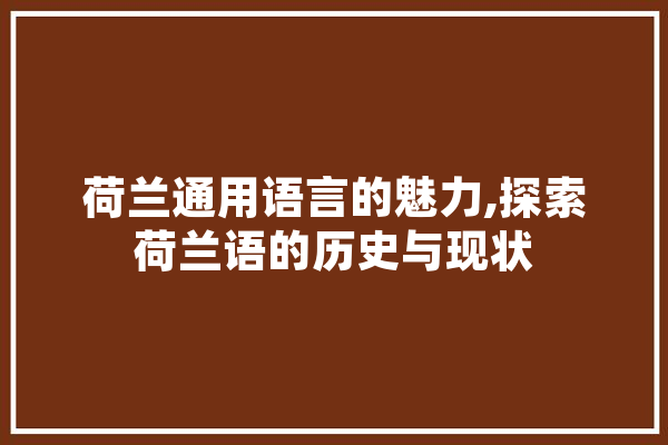 荷兰通用语言的魅力,探索荷兰语的历史与现状